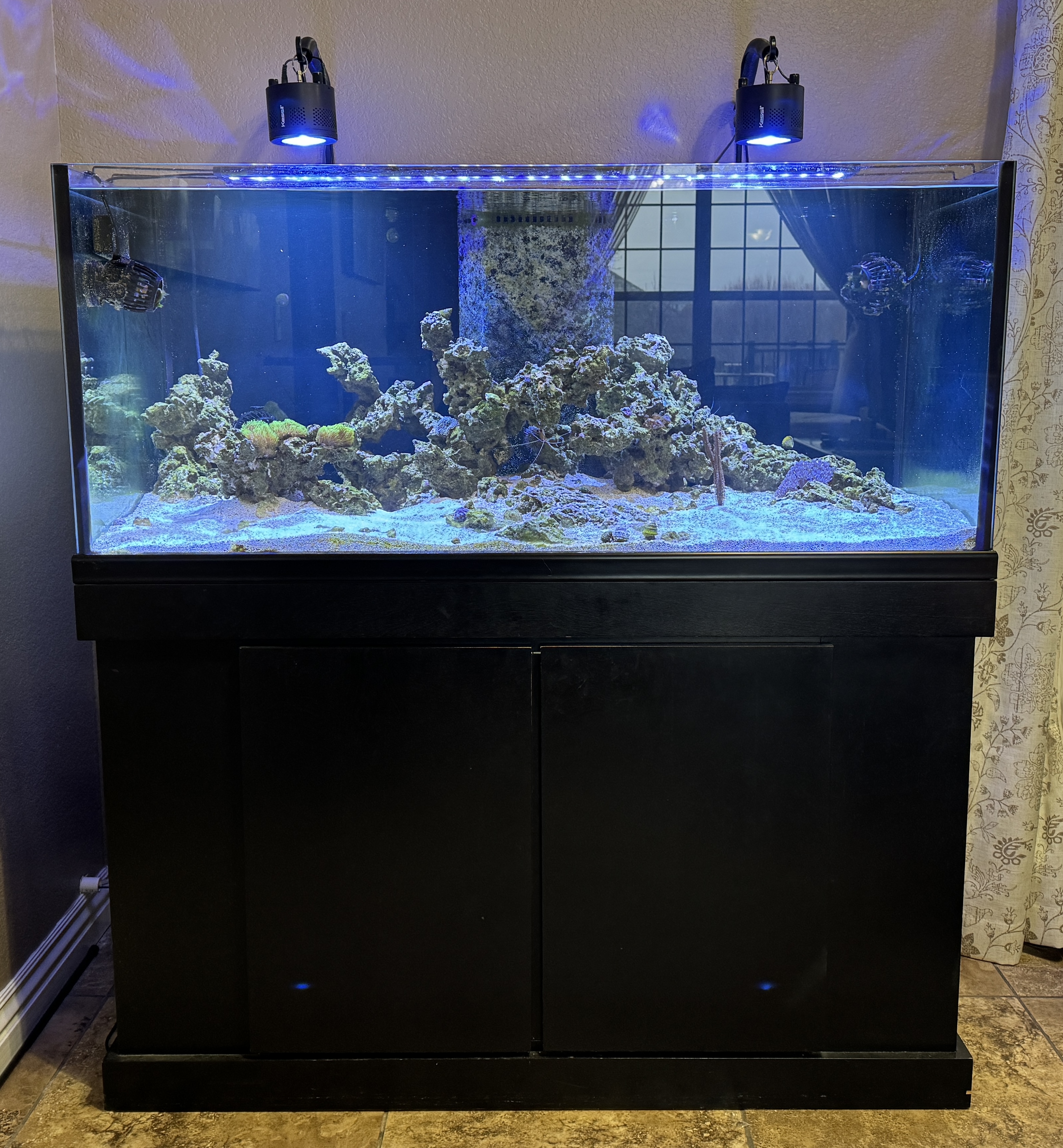 Picture of tank